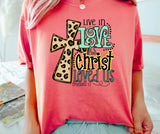 Live In Love As Christ Loved Us